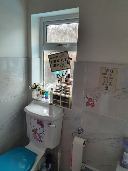 I've fucked up my bathroom. Help me fuck it up more?