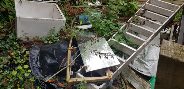 Neighbour not putting rubbish out