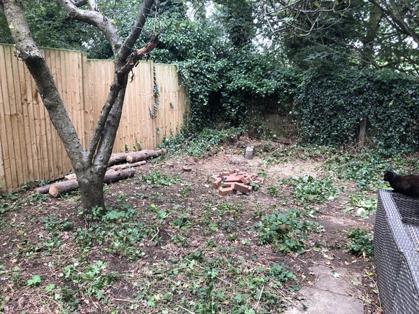 What would you do with this bit of garden?