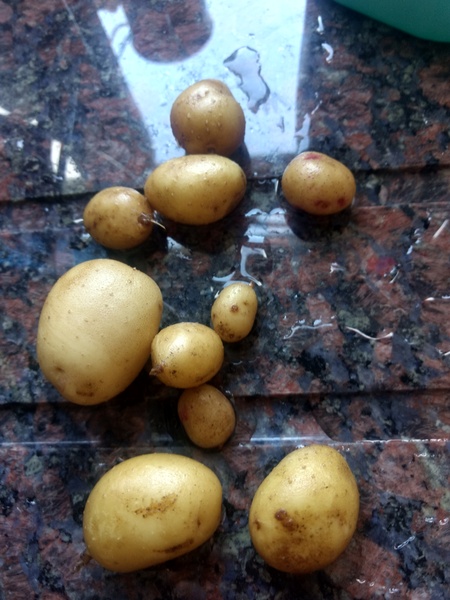 Show me your brexit stockpiles cont...