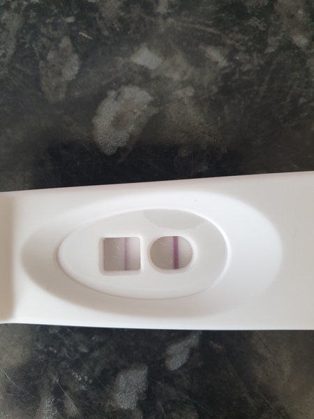 Does it look like I ovulated?