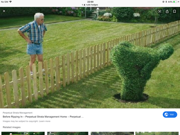 Someone has cut my hedge