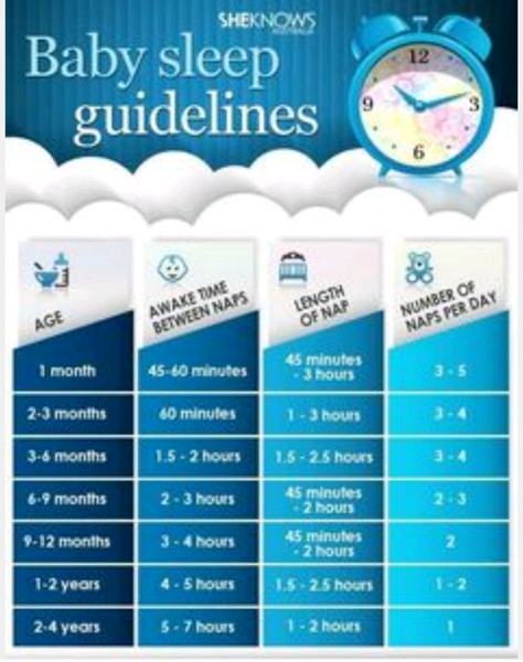To find getting baby down for 3 naps a day nauseating ?