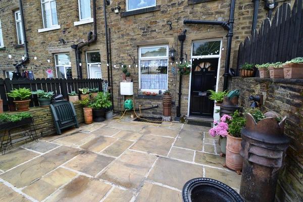 Best plants to liven up a small paved backyard