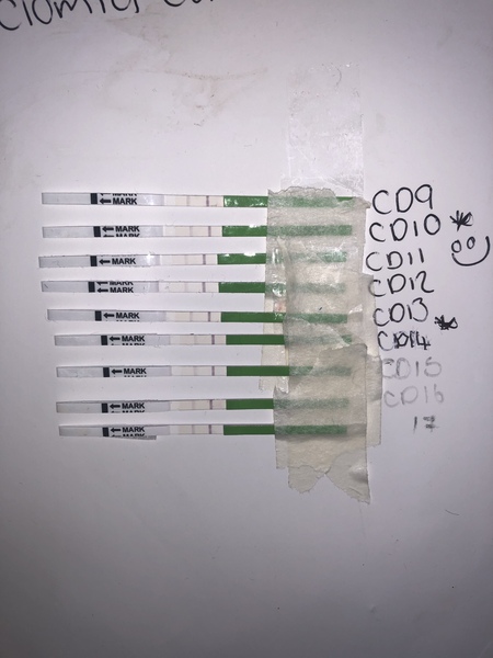 Clomid Thread 2019 V2