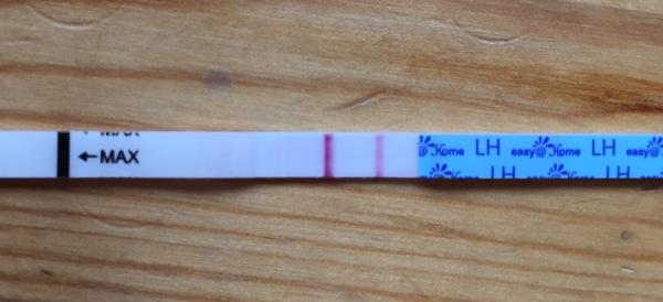 OPK - when will I ovulate
