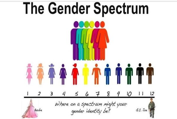 To want to know exactly what LGBT teaching in schools will entail?