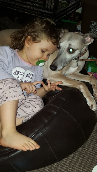 Mumsnet users share how their dog helped them and their family