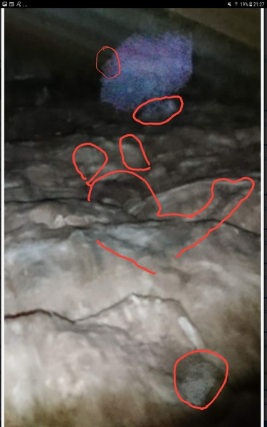 Please tell me this is not a ghost, even though it obviously is and I have to move