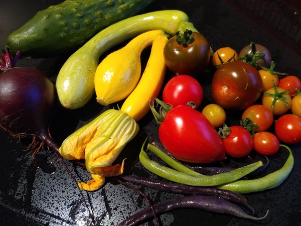 Allotment/Veg Patch Thread 14 ! growing into summer