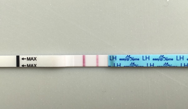 Is this a negative OPK?