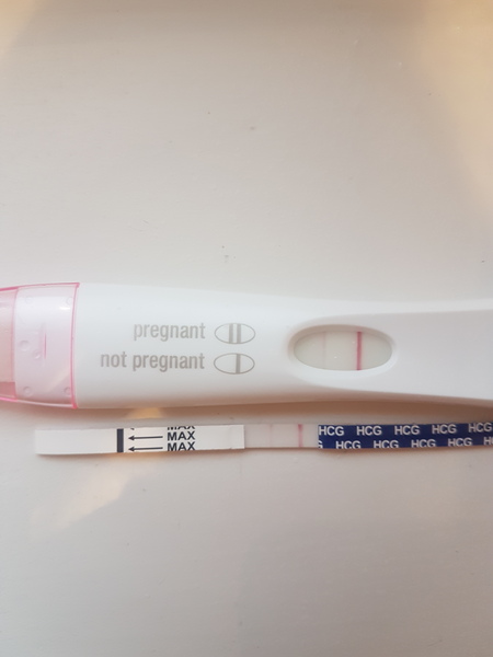 Due in April 2020 Buddies