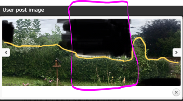 Someone has cut my hedge