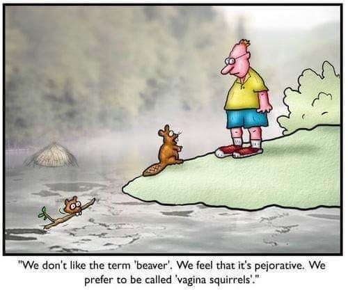 Expelled from Girlguiding for putting safeguarding first