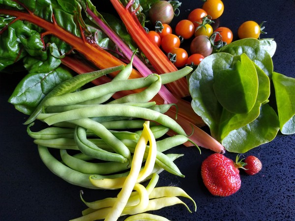 Allotment/Veg Patch Thread 14 ! growing into summer