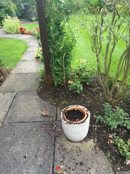 Any idea what caused this overnight? Photo attached
