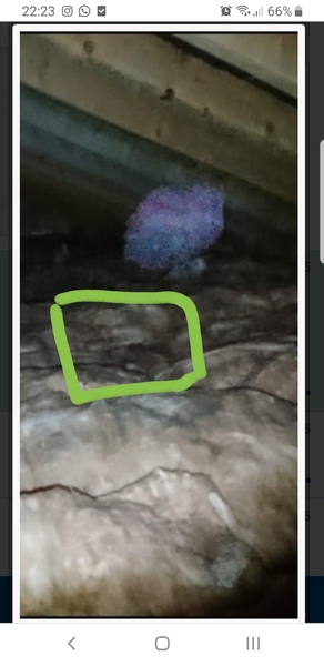 Please tell me this is not a ghost, even though it obviously is and I have to move