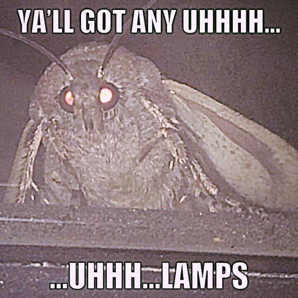 F**k off Moth