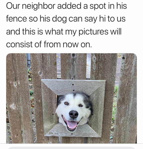 To think that I have the most petty neighbours in the world?