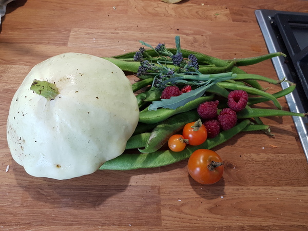 Allotment/Veg Patch Thread 14 ! growing into summer