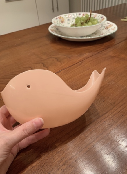 What is this thing??