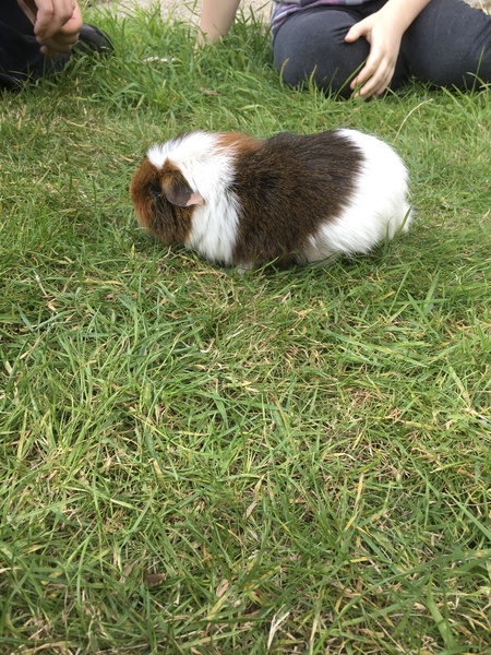 Millie has joined her friends at the Bridge