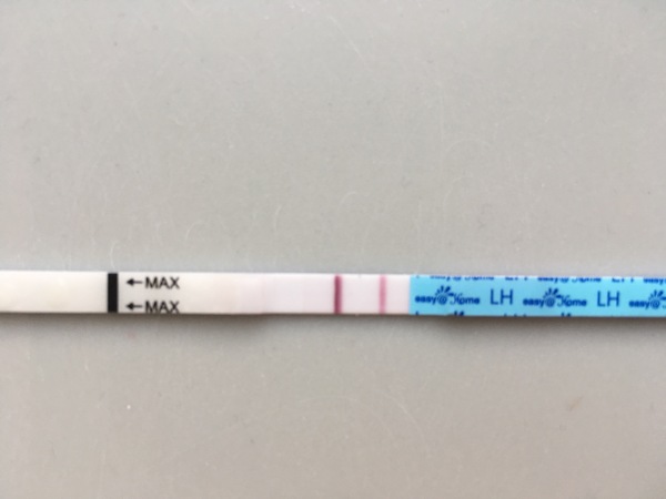 Line eyes for ovulation test