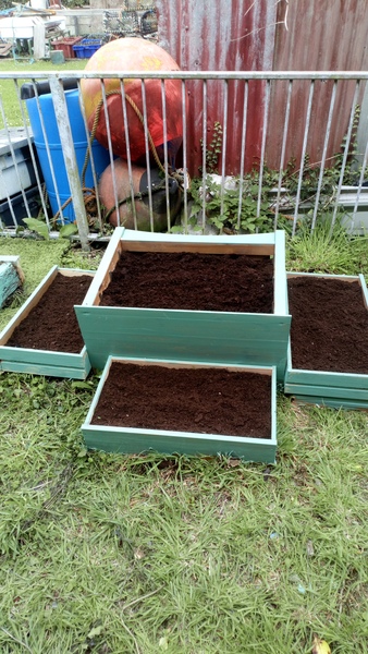 Allotment/Veg Patch Thread 14 ! growing into summer