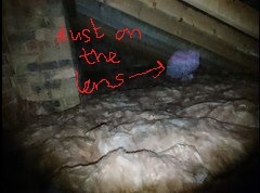 Please tell me this is not a ghost, even though it obviously is and I have to move