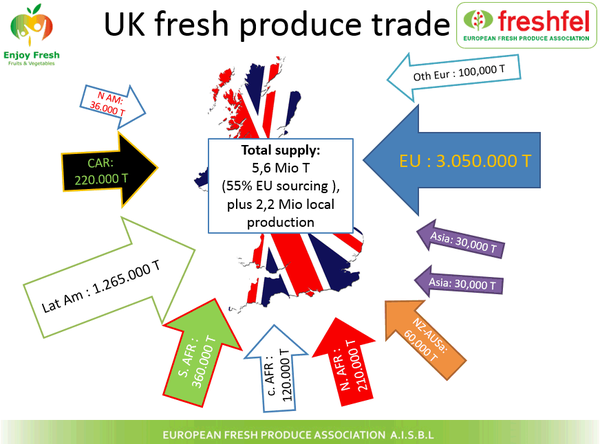 Westministenders: Brexit Preppers Are Traitors Who Don't Believe Enough
