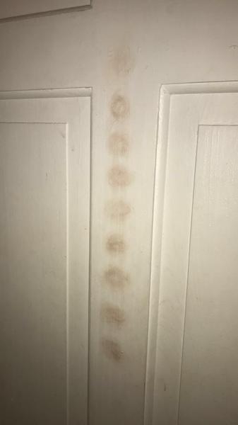What caused this? Very strange (pic)