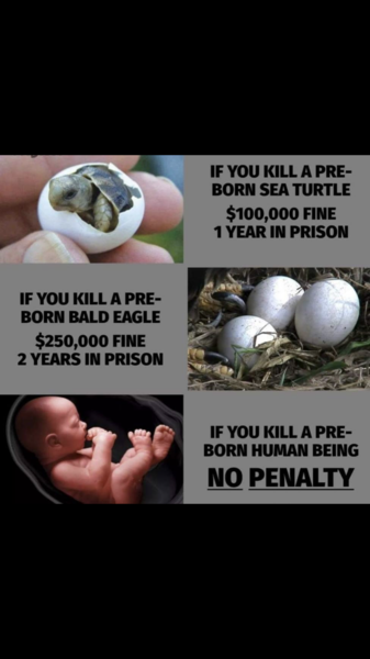 To call out someone on FB for this? *(warning added by MNHQ: concerns abortion)