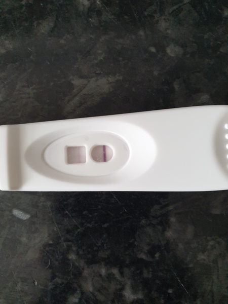 Does it look like I ovulated?