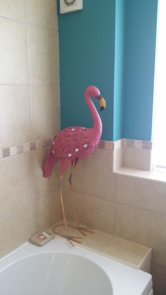 I've fucked up my bathroom. Help me fuck it up more?
