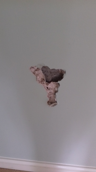 Home Extension Thread 2019 - The Extension