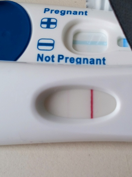 The Graduates of TTC after pregnancy loss thread #3 🐧🐧The Penguin Huddle 🐧🐧