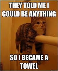 Towels and washing? Every day?