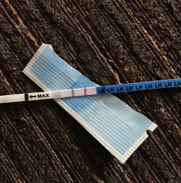 Positive ovulation test ttc
