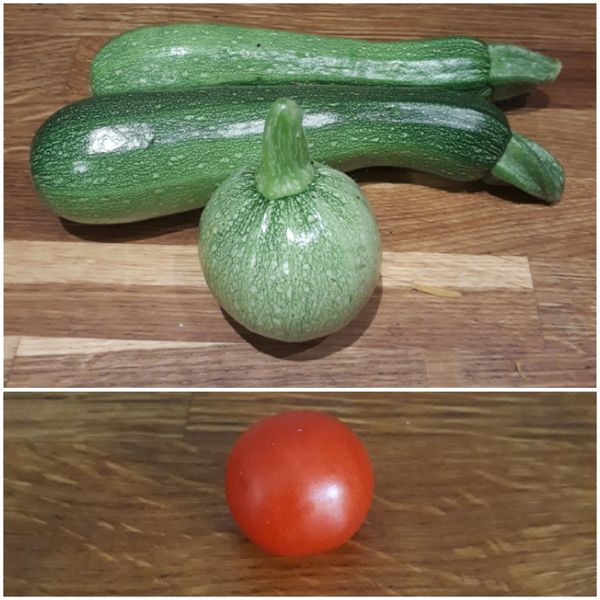 Allotment/Veg Patch Thread 14 ! growing into summer