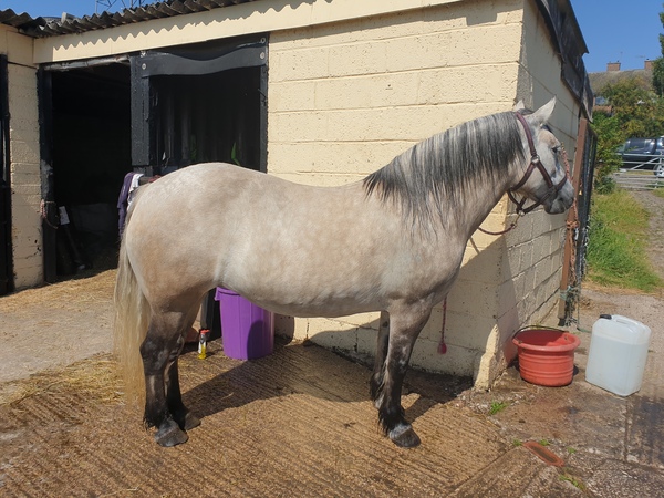 Wankerbastards and summer sunshine will make us want the bloody wine. But tryers to be dryers won't give up, and ice cold becks blue we will sup.