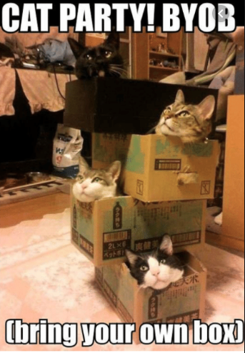 AIBU - my wife tore up my cardboard box and I'm mad as hell