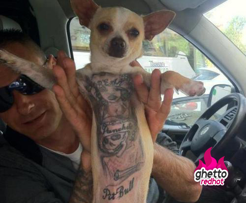 Porn stars and Dog tattoos