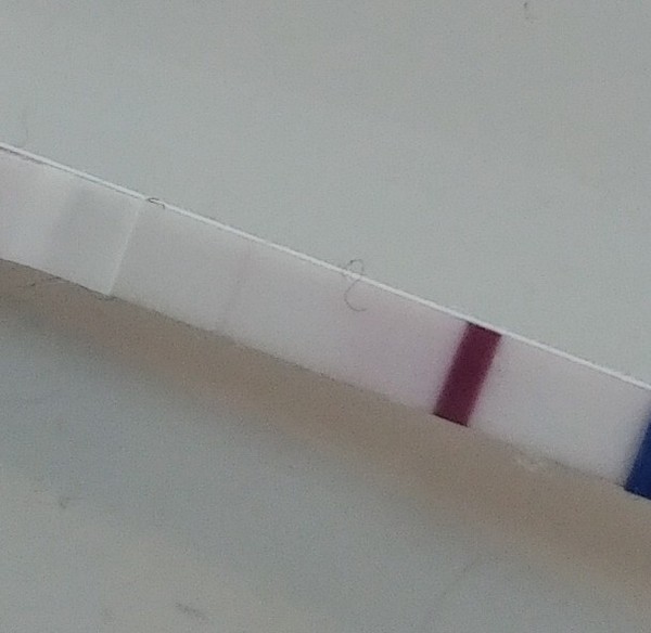 Has anyone ever had a FRER second line so faint it was almost invisible?