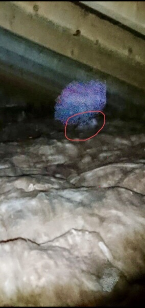 Please tell me this is not a ghost, even though it obviously is and I have to move