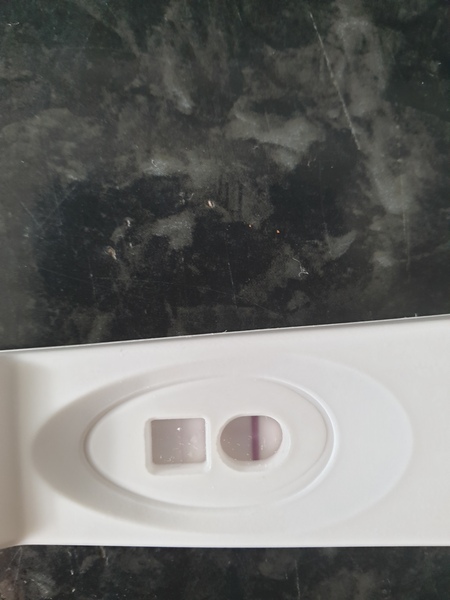 Does it look like I ovulated?