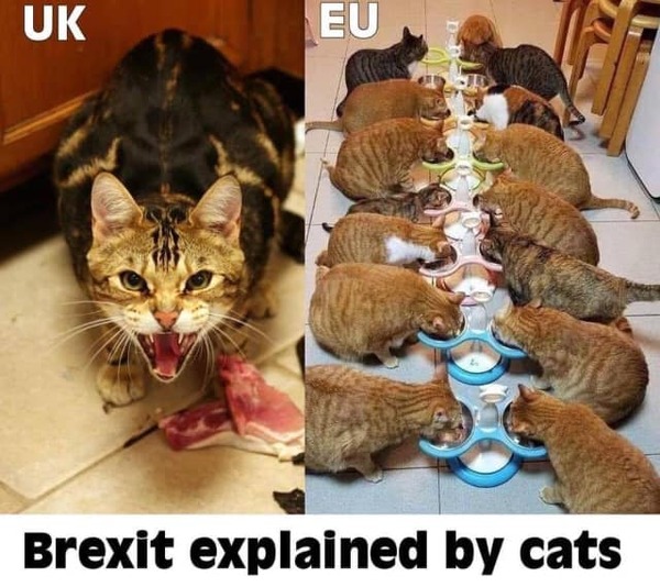 Westministenders: Brexit Preppers Are Traitors Who Don't Believe Enough