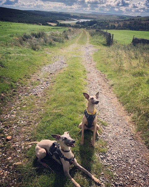What to do in Yorkshire Dales