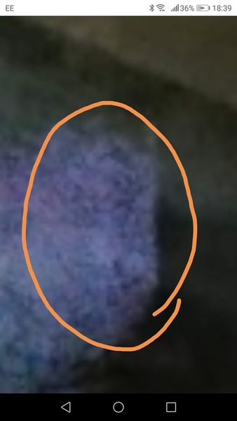 Please tell me this is not a ghost, even though it obviously is and I have to move