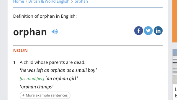 Would you describe an adult whose parents had died as an orphan?