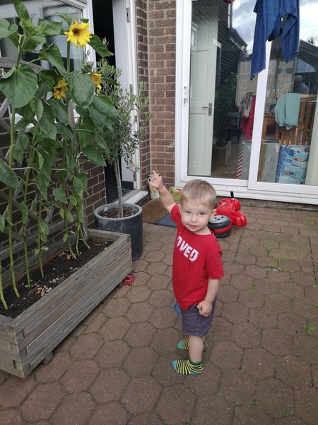 To clap my hands and skip about in a elephantine manner?